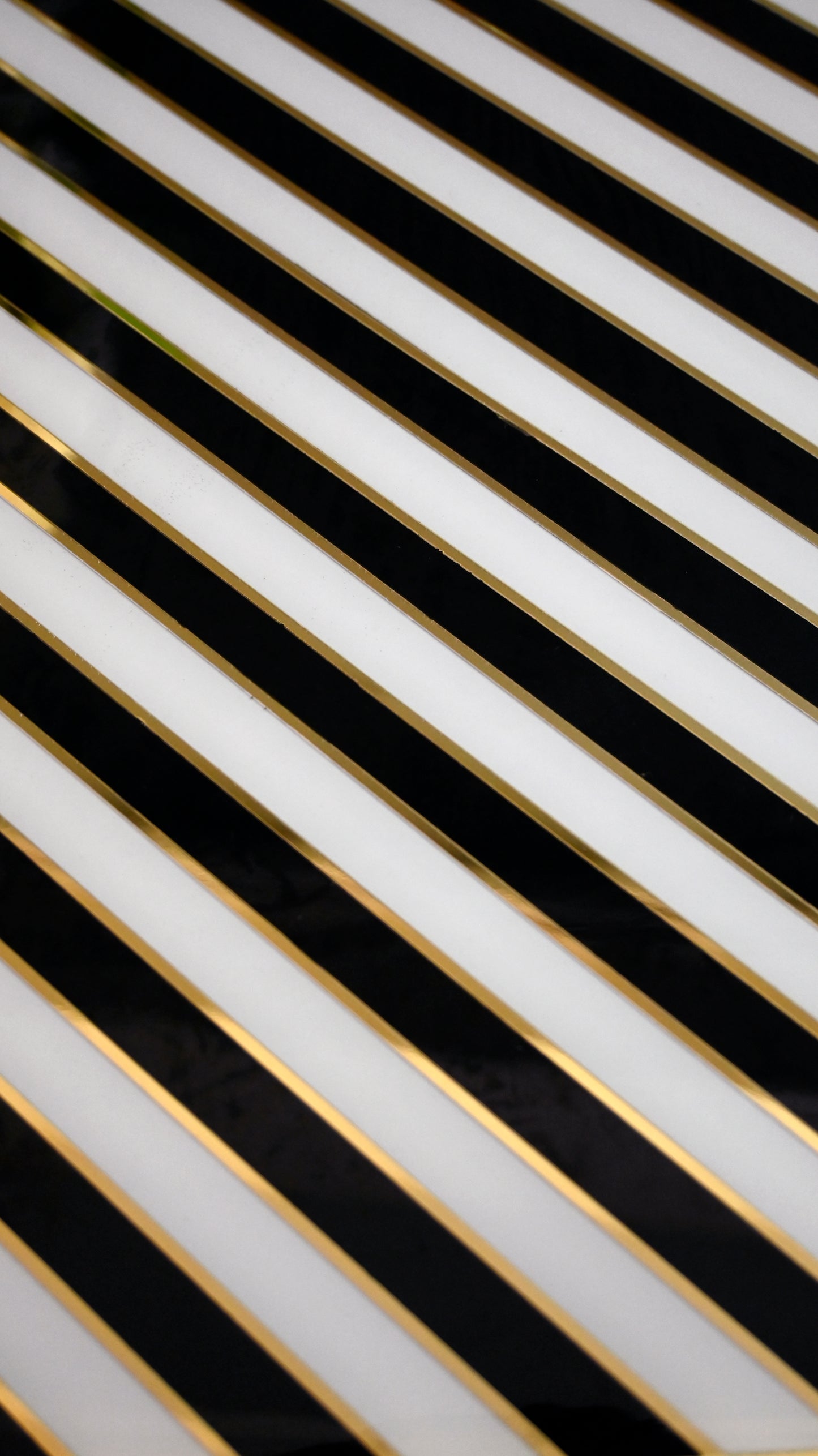 Black & White Zebra: Placemat