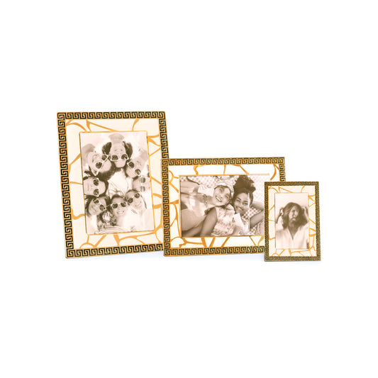 Broken Tree Black White Gold: Photo Frame