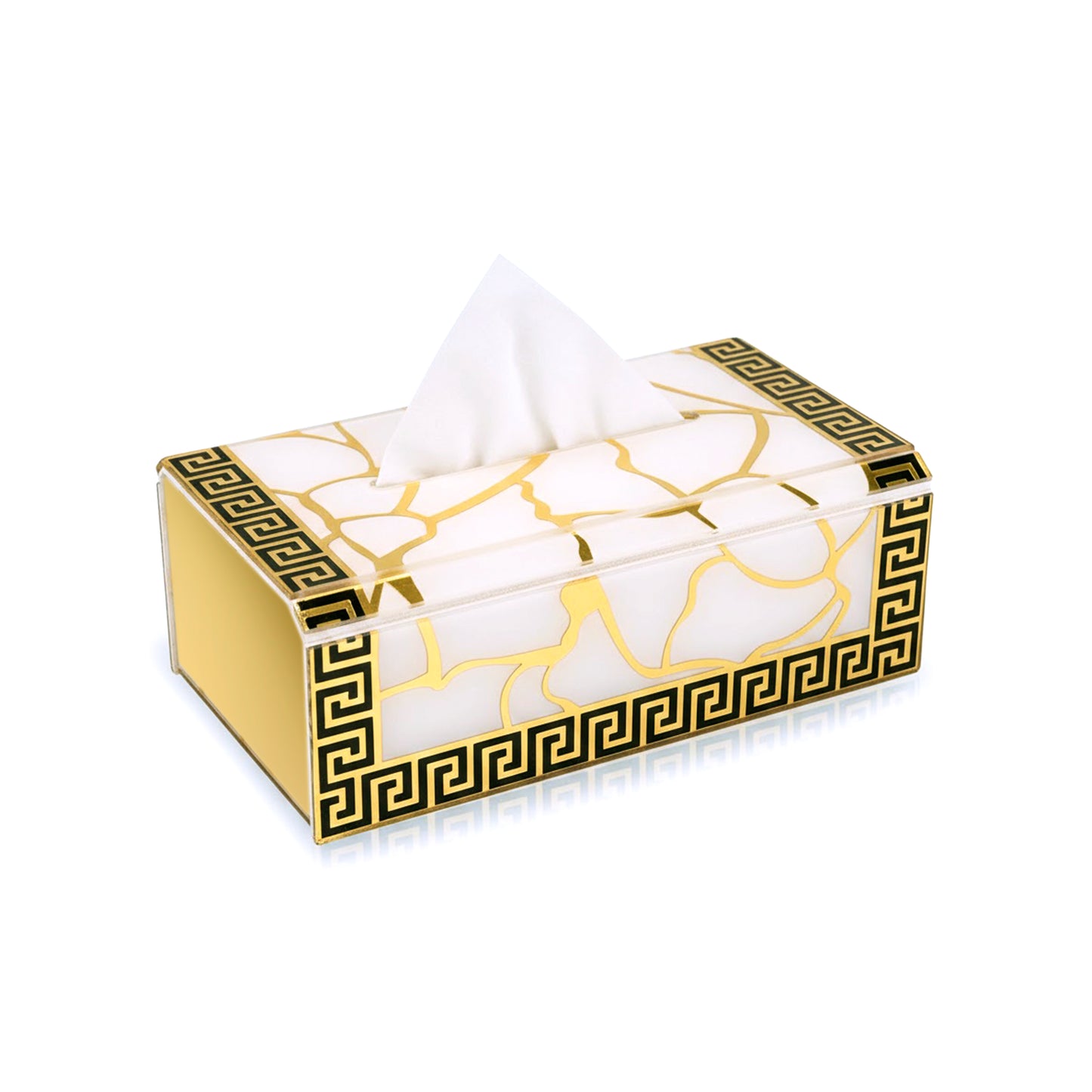 Broken Tree Black White Gold: Tissue Box